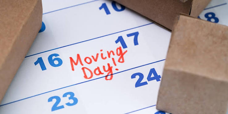 removalists north shore